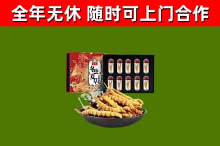 邓州烟酒回收冬虫夏草礼盒.jpg